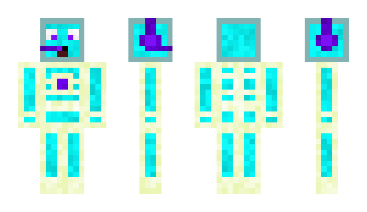 Liter Minecraft Skin