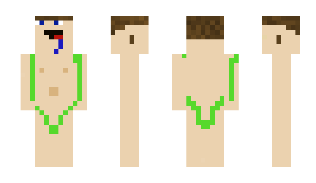 Hubertus_Flips Minecraft Skin