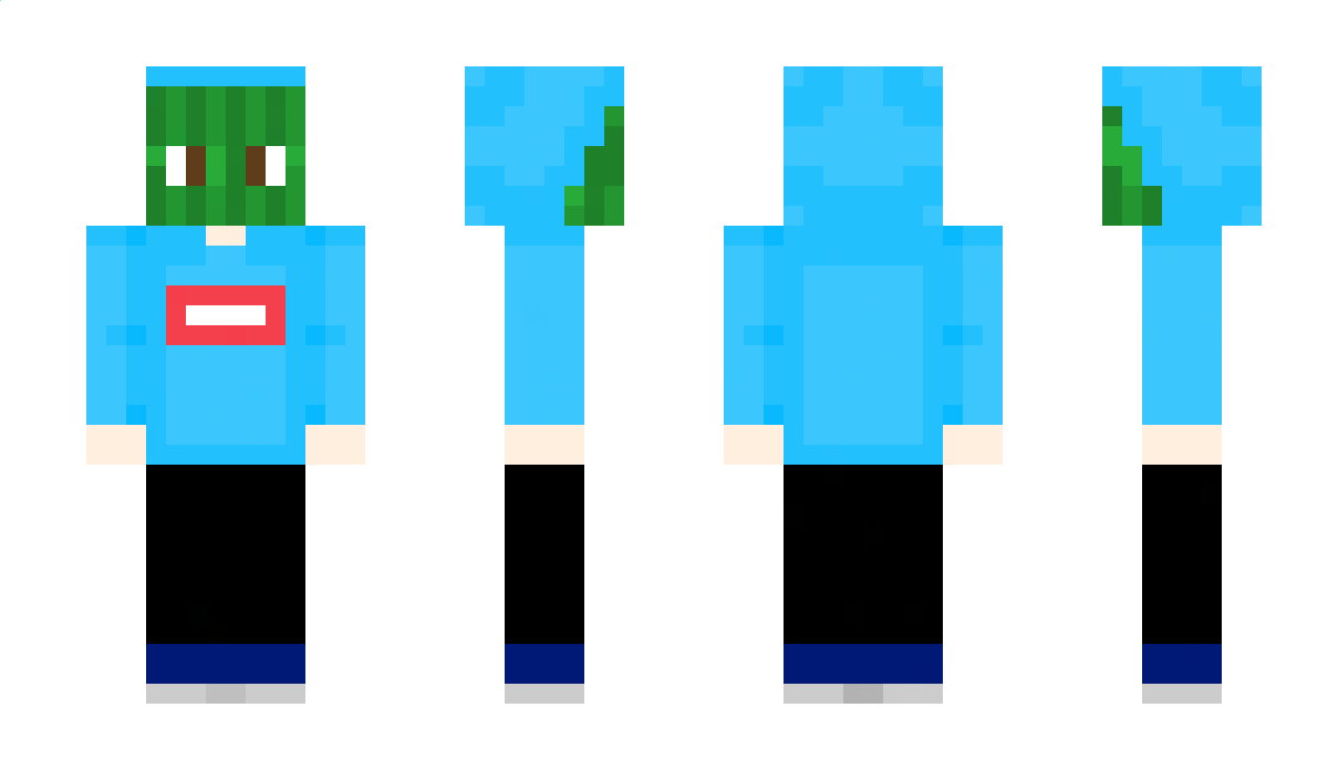 ccad Minecraft Skin