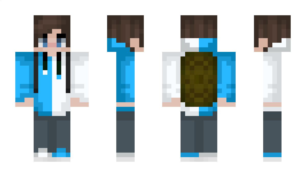 TheGamingTortois Minecraft Skin