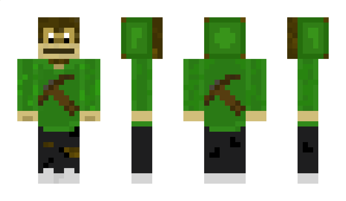 Roadfunner Minecraft Skin