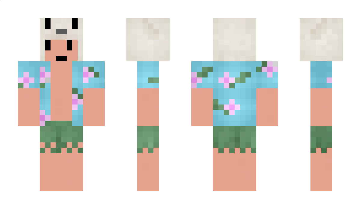 ernest3 Minecraft Skin