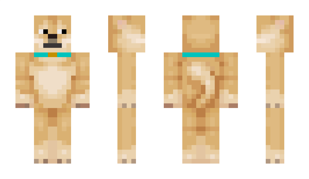 Pro123a Minecraft Skin