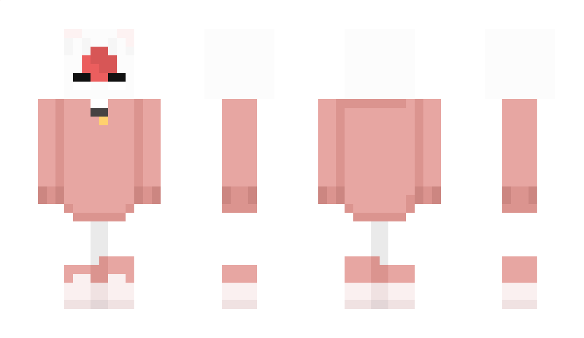 shawnthecool61 Minecraft Skin