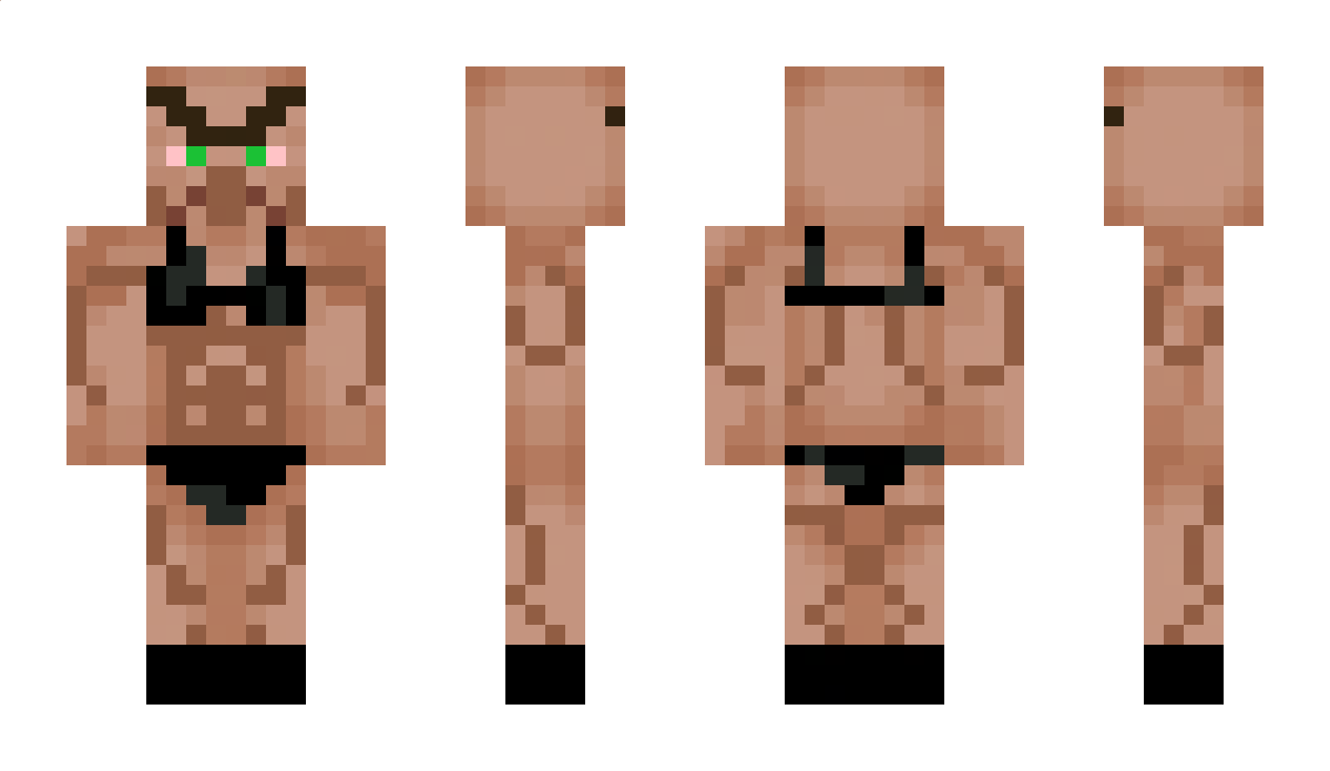 ah_v Minecraft Skin