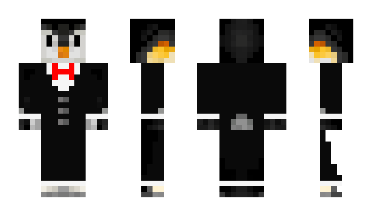 Cams Minecraft Skin