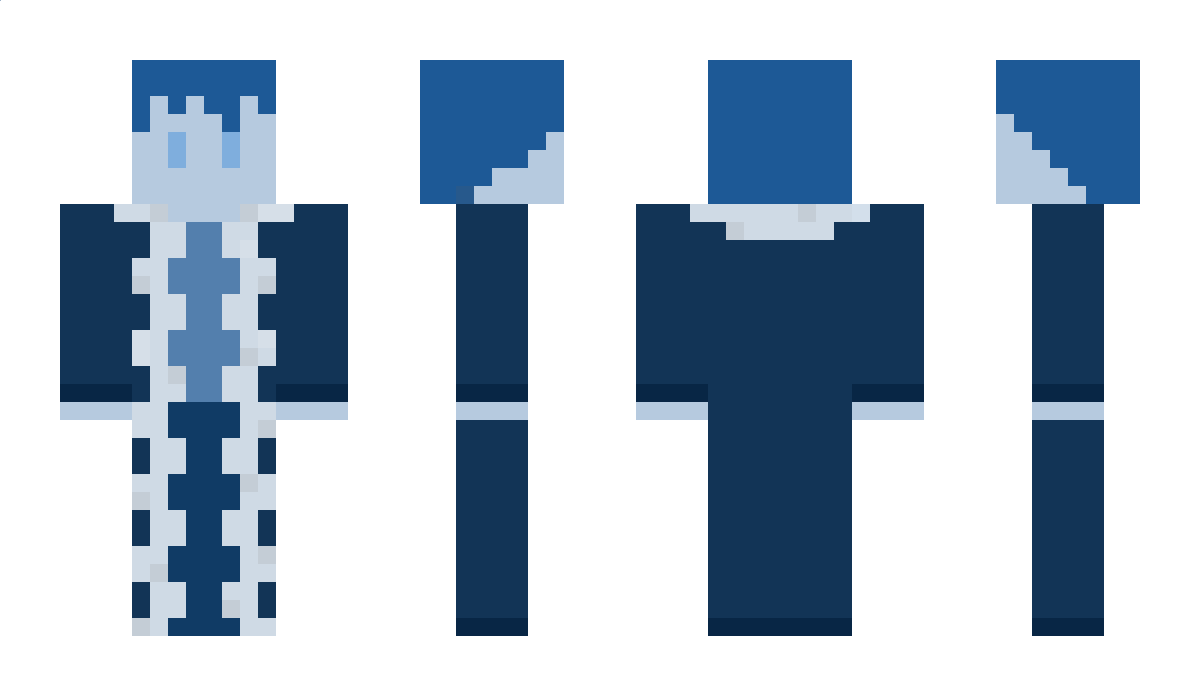 WinterWizarrd Minecraft Skin