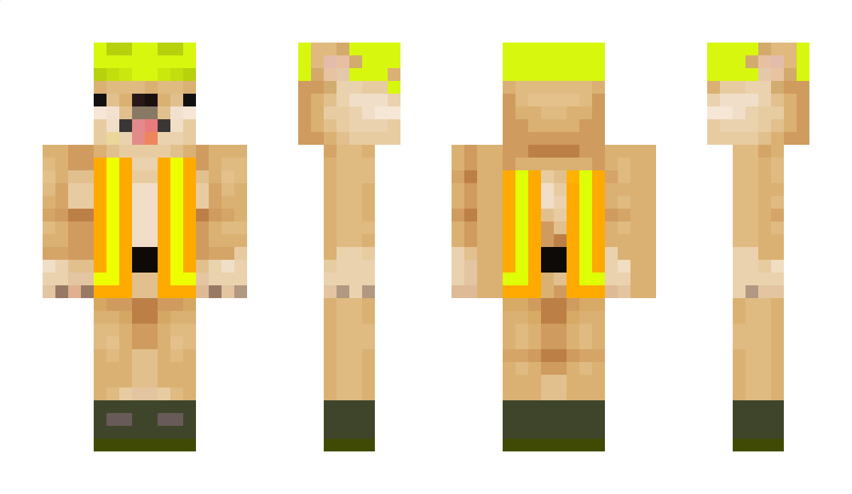 zTortus Minecraft Skin