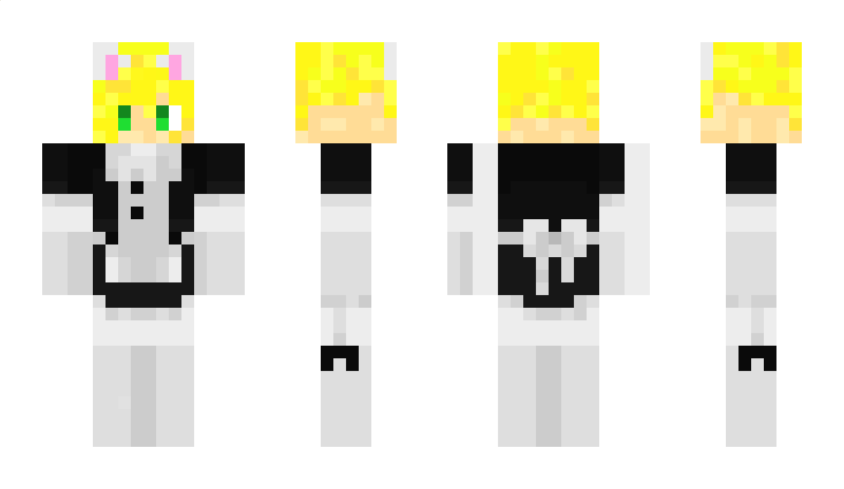 NSG_snowy Minecraft Skin