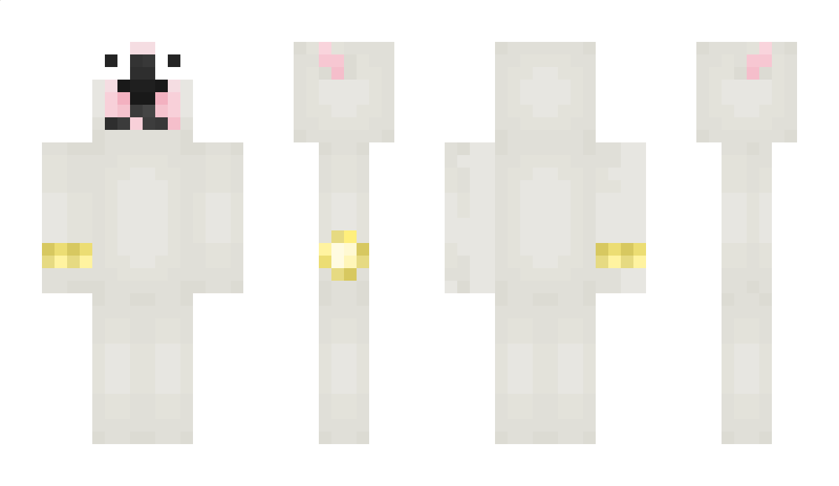 diedforbx Minecraft Skin