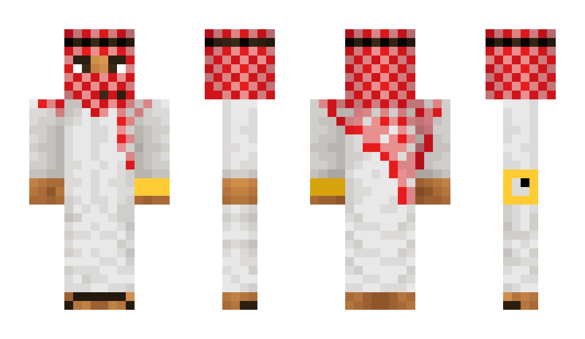 sprite223 Minecraft Skin