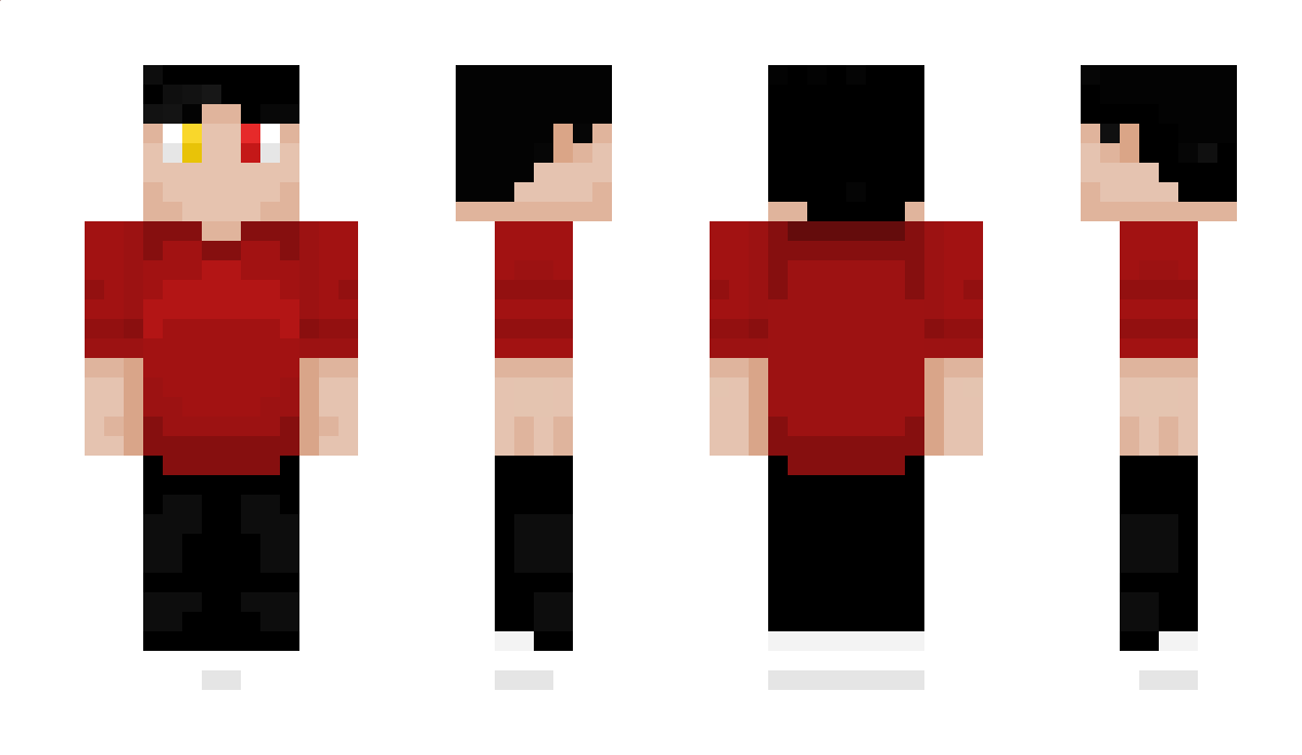 Nerdycraft Minecraft Skin