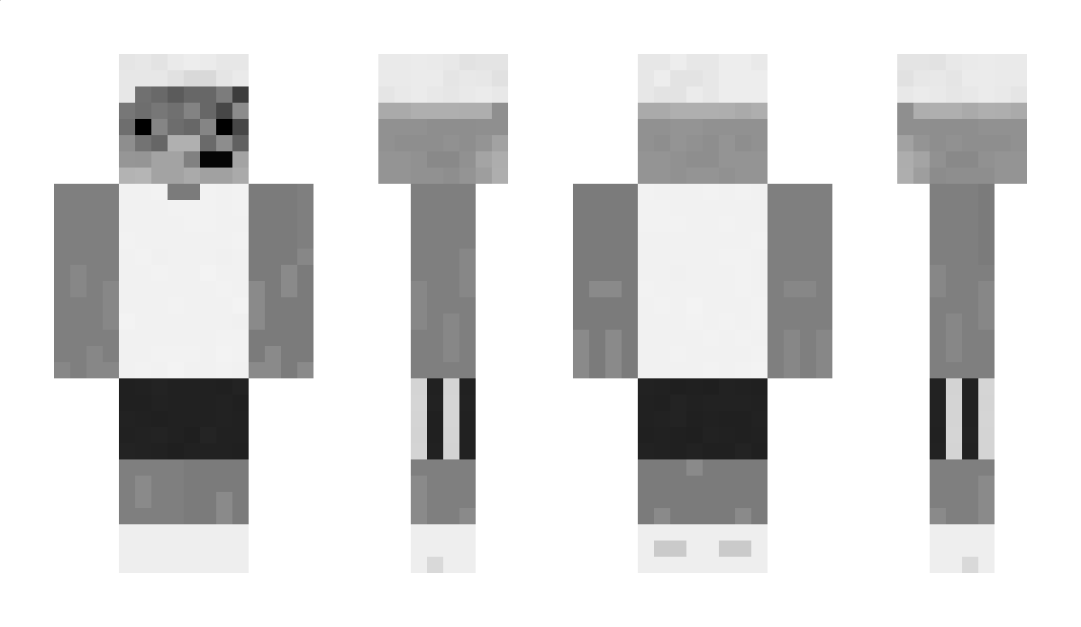 Vitsss_ Minecraft Skin