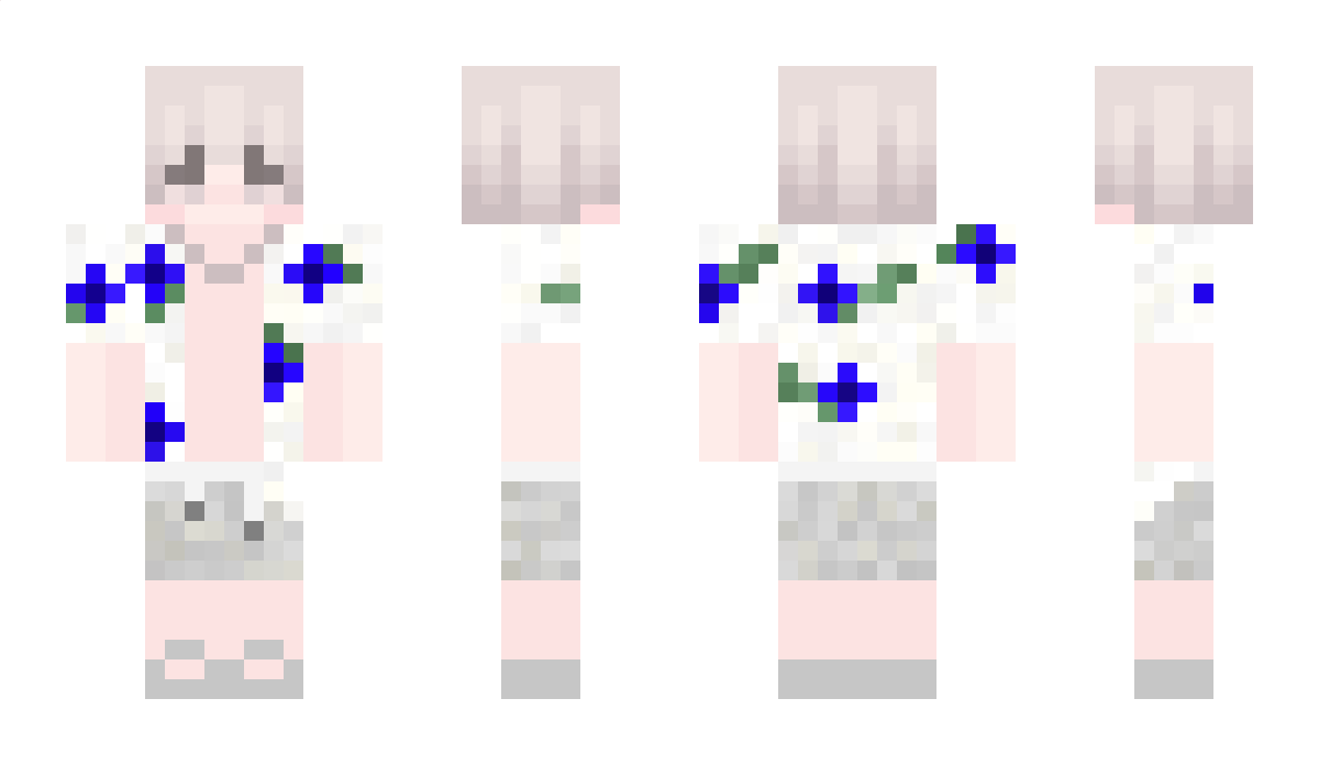 GiusLoscie Minecraft Skin