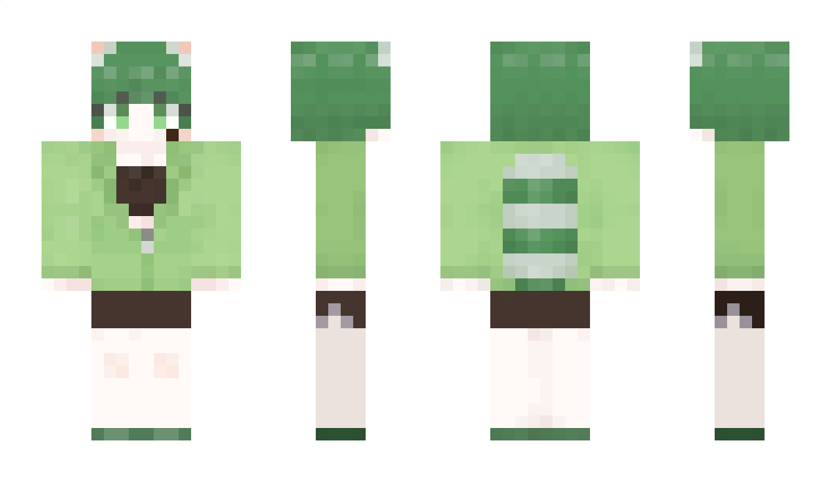 B_2Hwa Minecraft Skin