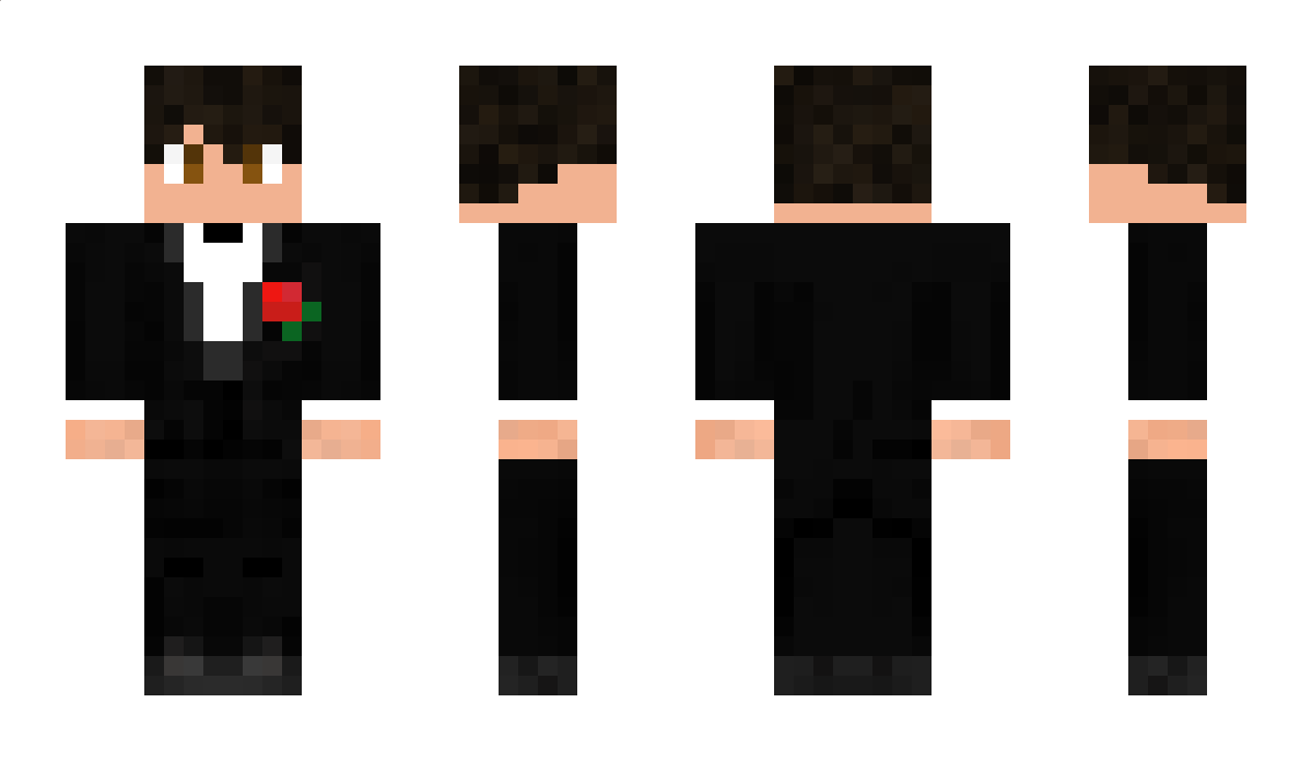 HippotheGamer Minecraft Skin