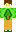 Firtrees Minecraft Skin