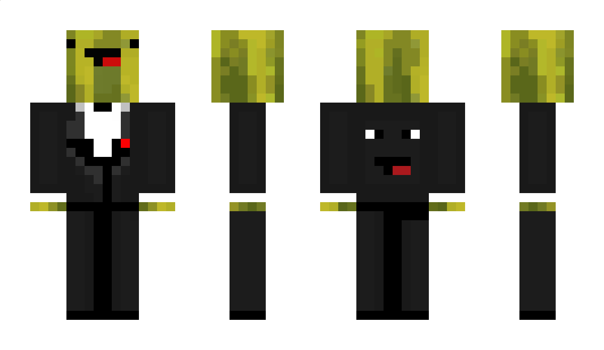 W_D_Roober Minecraft Skin