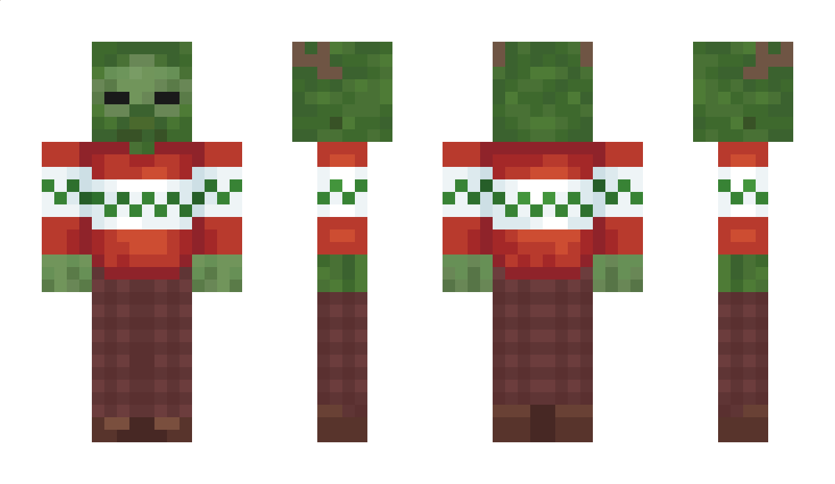 TheDerpyCrafter Minecraft Skin