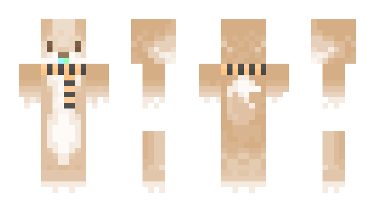 SillyChicken Minecraft Skin