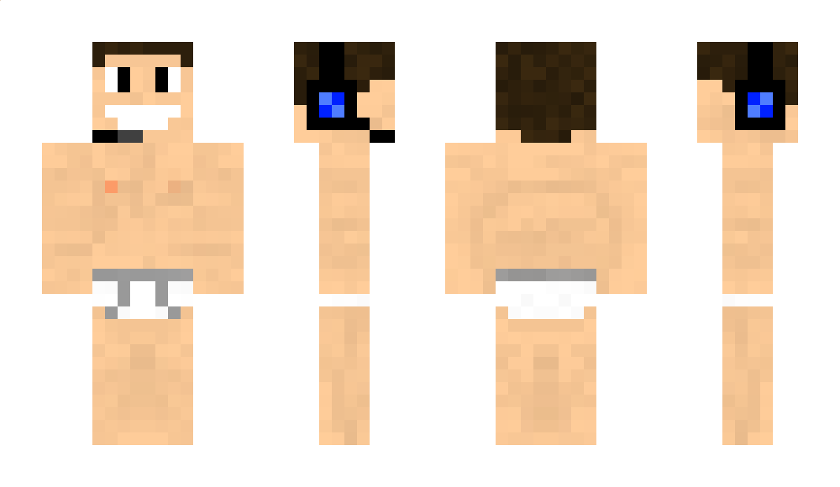 ADA Minecraft Skin