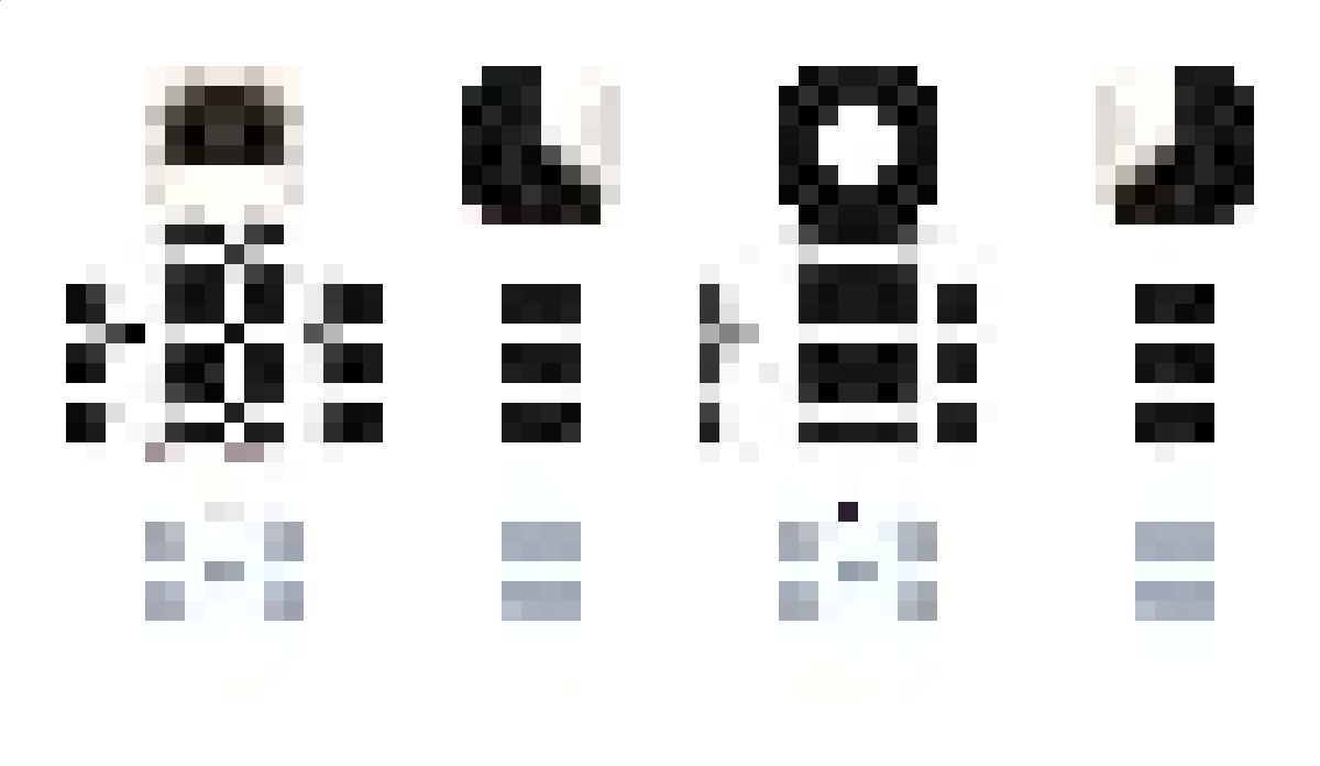 DG Minecraft Skin