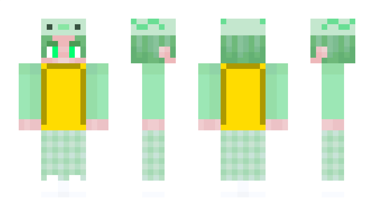 maxc272783 Minecraft Skin