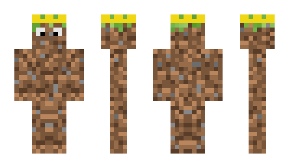 DirtKing Minecraft Skin