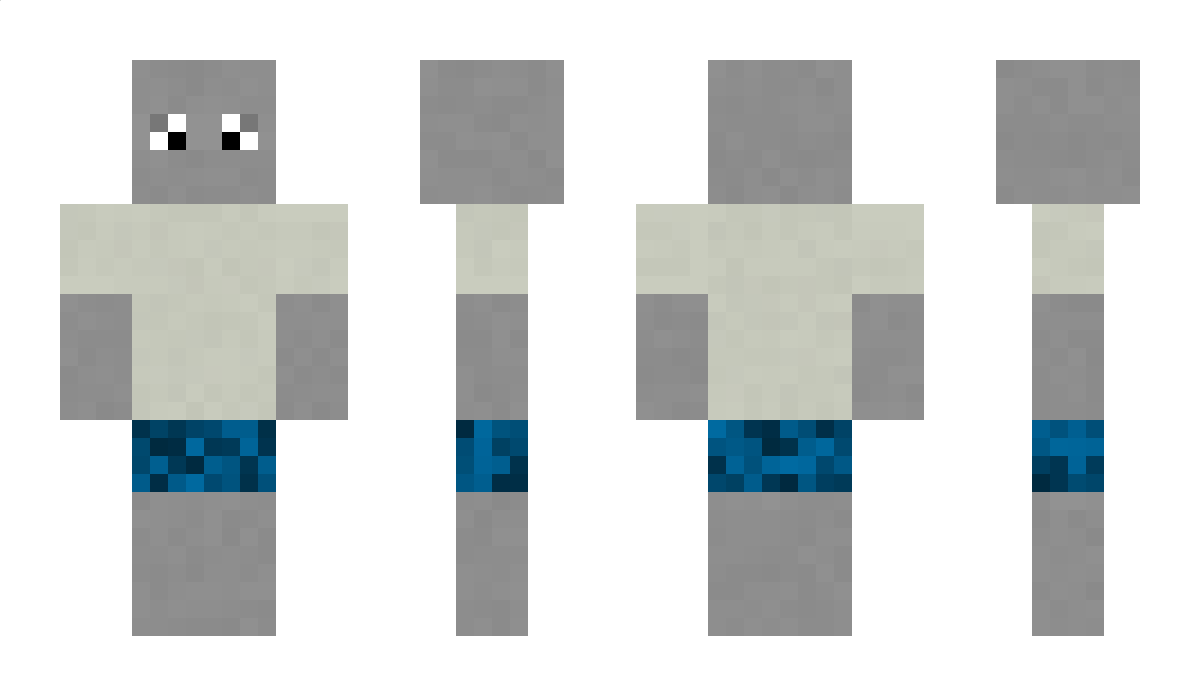 hicat Minecraft Skin