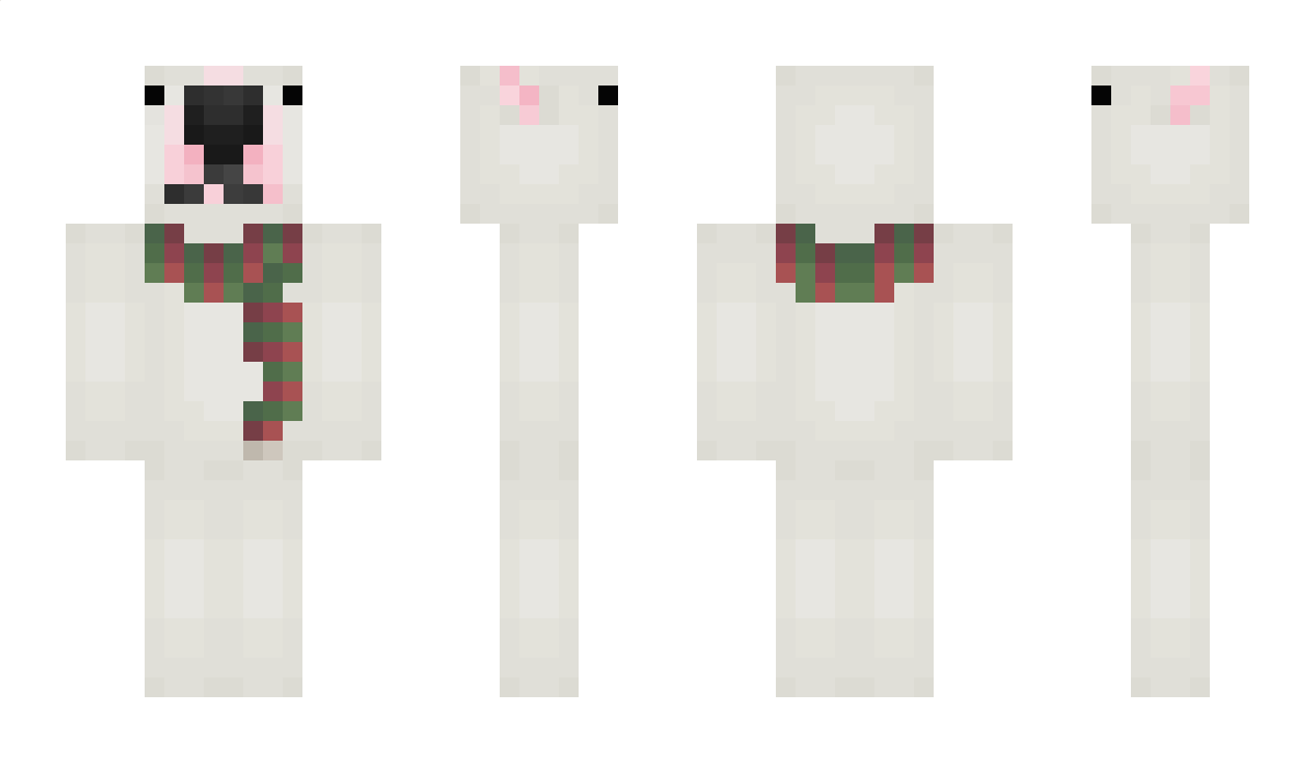 zRyxnl Minecraft Skin