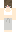 DoggyDanix Minecraft Skin