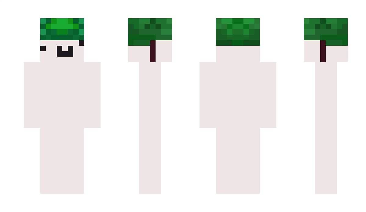 valvxps Minecraft Skin