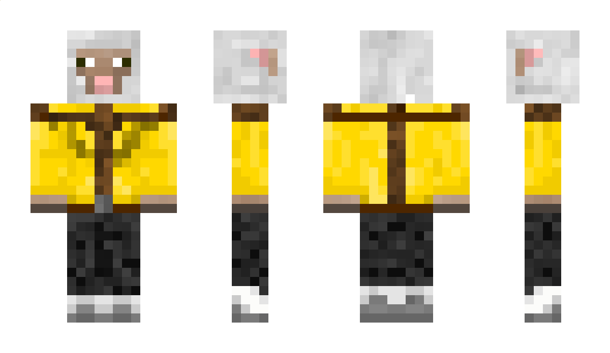 JanWouwt Minecraft Skin