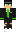 Snakeobite Minecraft Skin