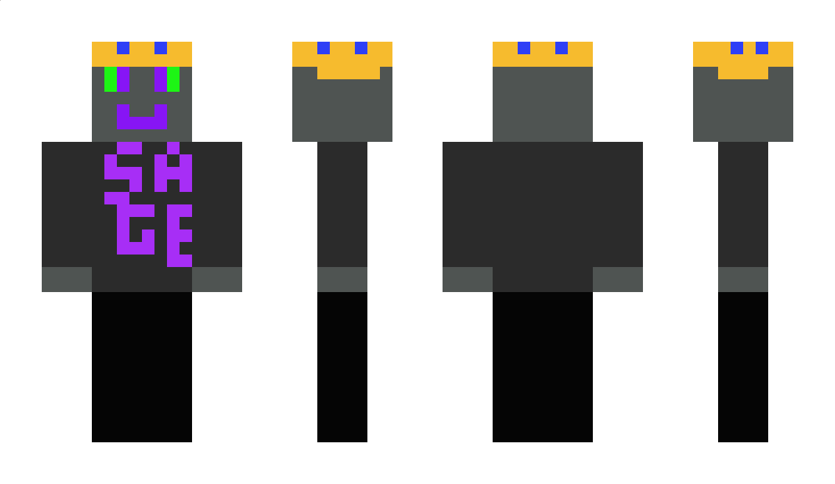 SageTheEndermit Minecraft Skin