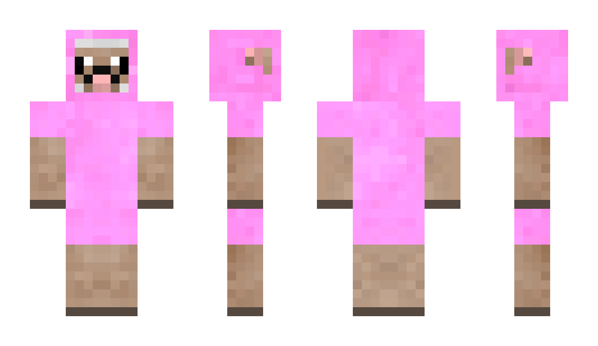 MegaNoob905 Minecraft Skin