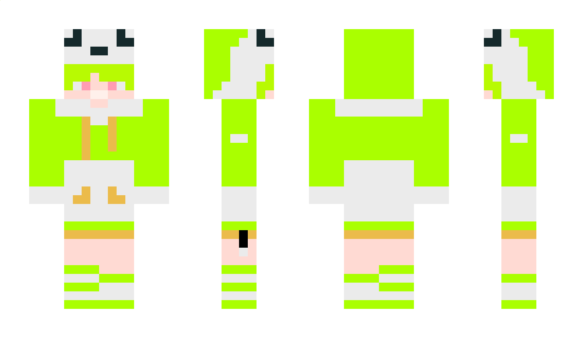 Rapipy Minecraft Skin