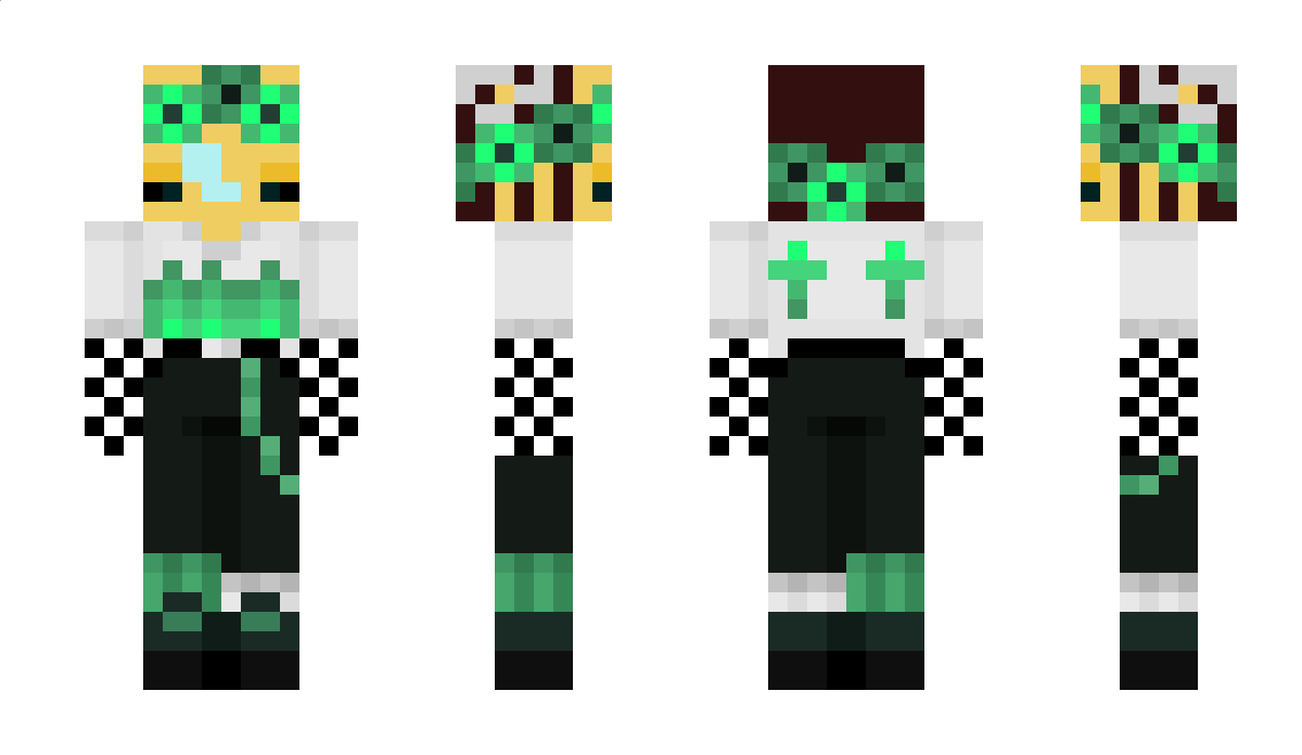 Abejeando Minecraft Skin