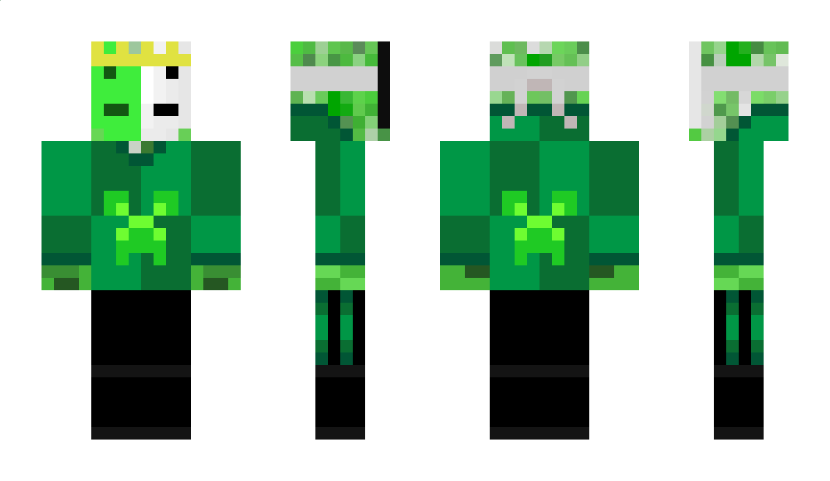 SQUIDGUARD7021 Minecraft Skin