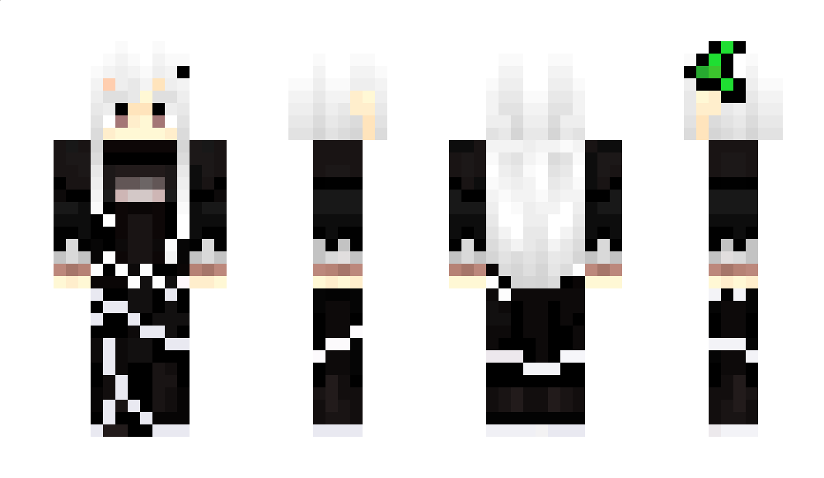 Tartoner Minecraft Skin