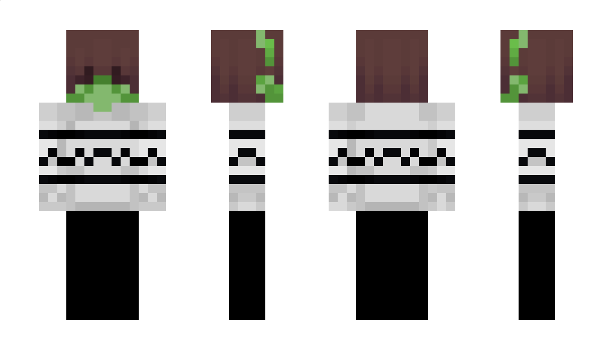 Alaloon Minecraft Skin