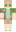 Chunkys_ Minecraft Skin