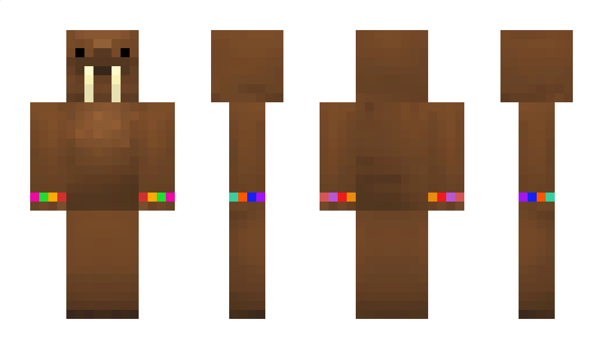 dout Minecraft Skin