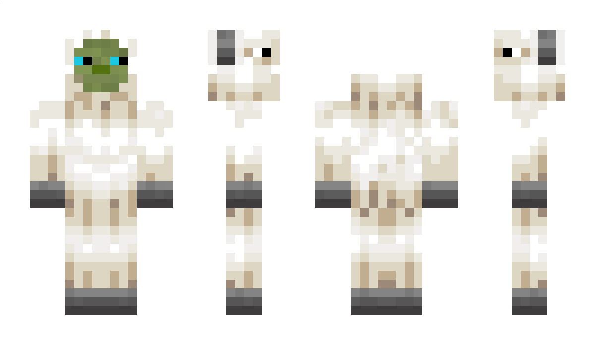 Plaintex Minecraft Skin