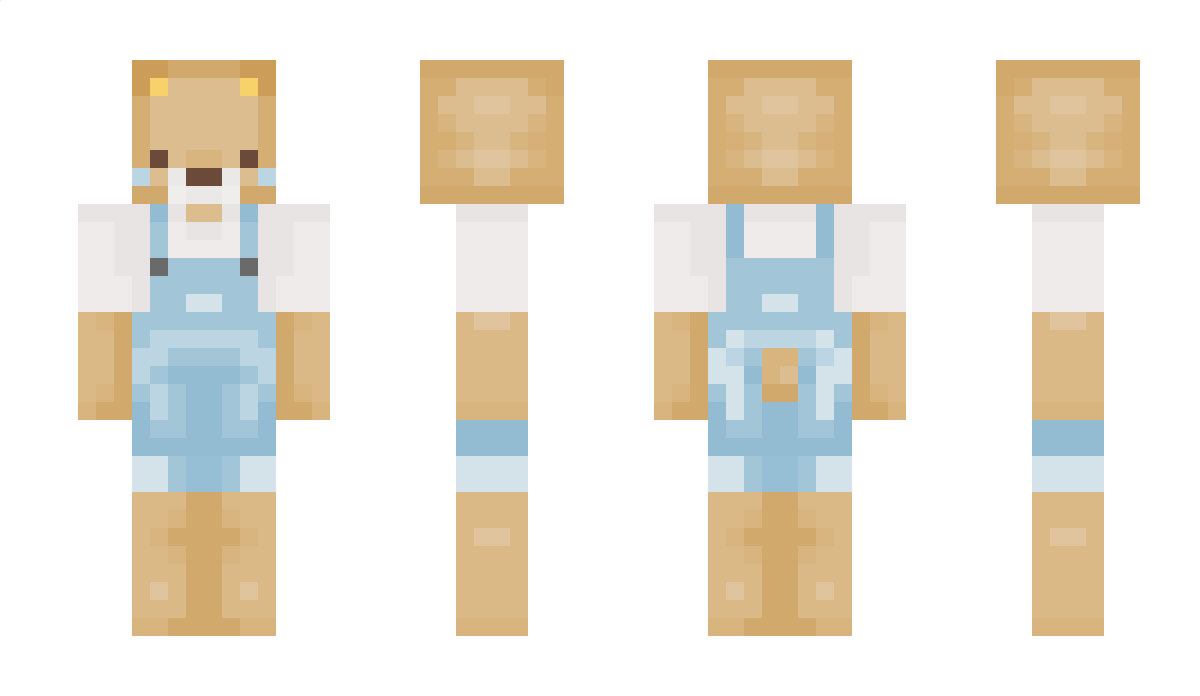 Awt Minecraft Skin