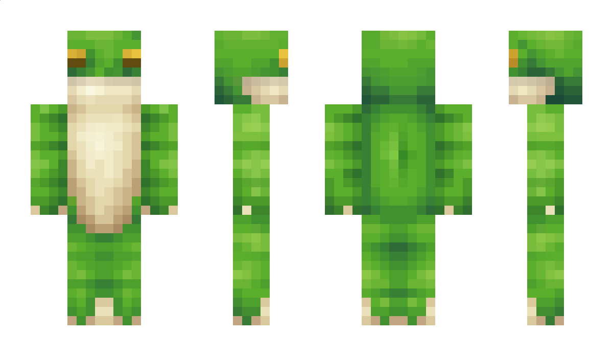 Drum Minecraft Skin