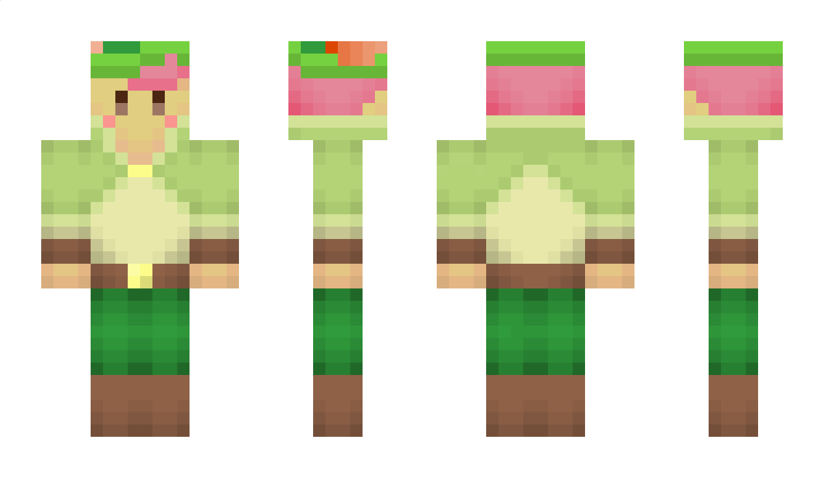 Nibichibolibas Minecraft Skin