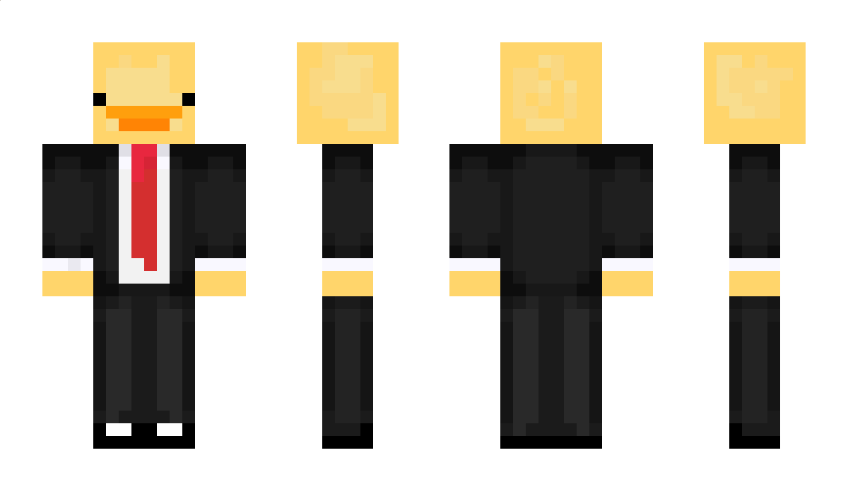 sasirmis_ordek Minecraft Skin