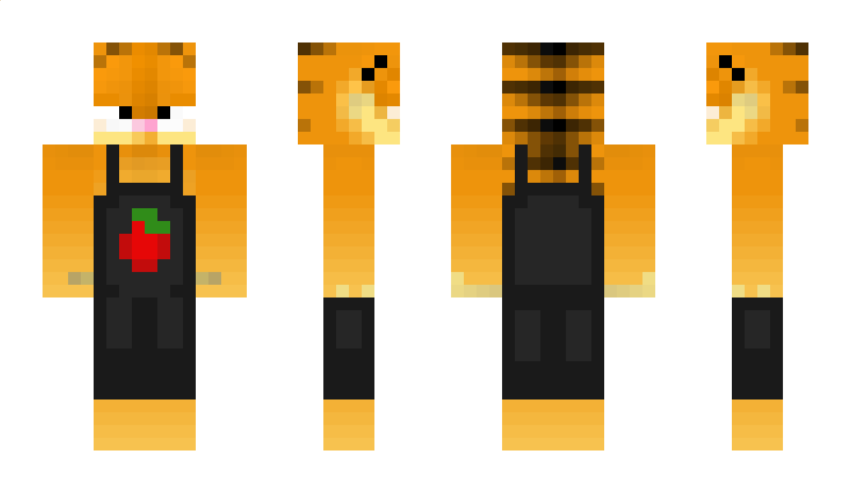 NES_0 Minecraft Skin