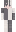 Quietschboy089 Minecraft Skin